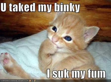Name:  binky.jpg
Views: 260
Size:  25.4 KB