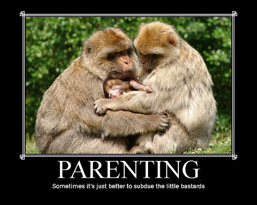 Name:  monkey_parenting-13308.jpg
Views: 28874
Size:  102.7 KB