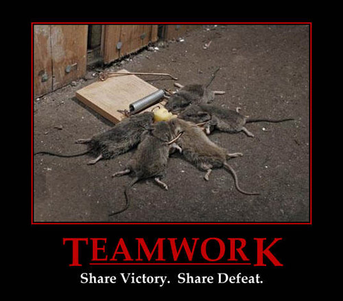 Name:  teamwork-12974.jpg
Views: 32346
Size:  75.1 KB