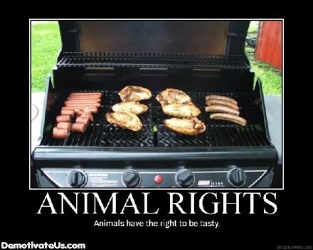 Name:  animal-rights-grill-demotivational-poster.jpg
Views: 111404
Size:  70.5 KB