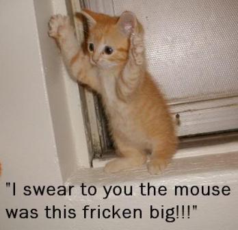 Name:  mouse_frickin_big.jpg
Views: 119
Size:  17.8 KB