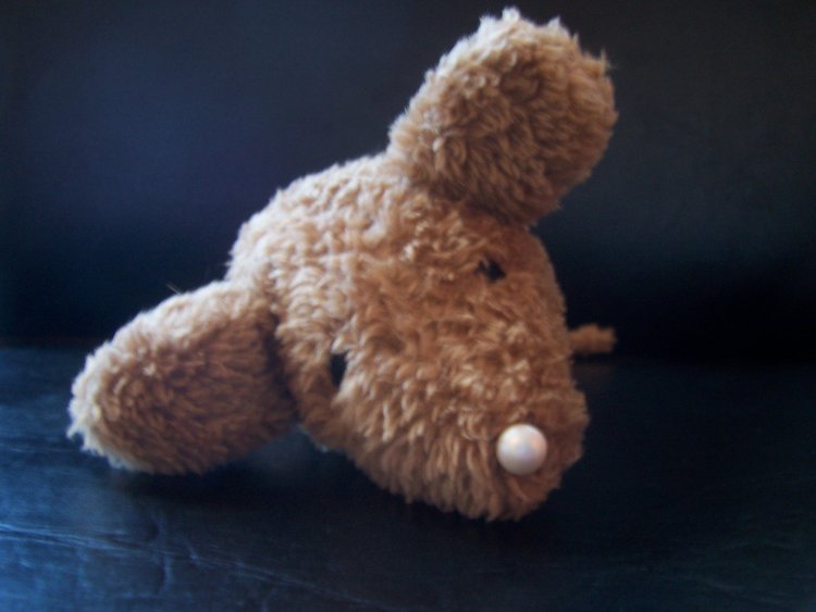 Name:  Bunny binky room 004.jpg
Views: 1488
Size:  44.4 KB