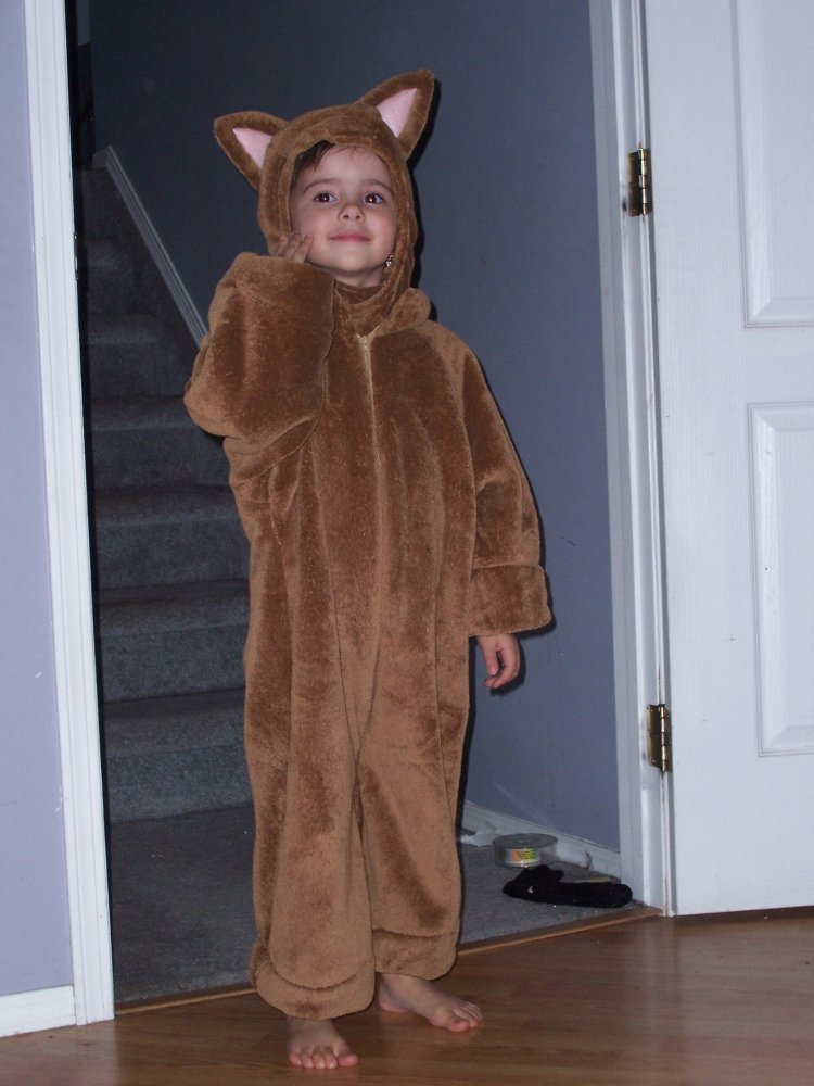Name:  Sydney as kitty 005.jpg
Views: 495
Size:  95.4 KB