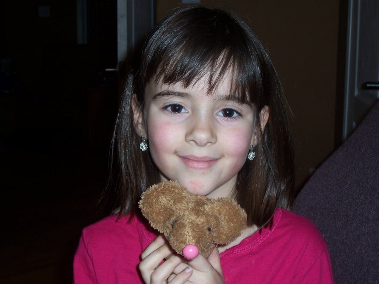 Name:  Bunny binky room 011.jpg
Views: 531
Size:  54.7 KB