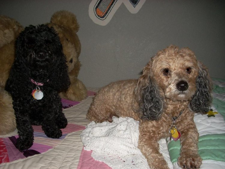 Name:  2010 misc 013.jpg
Views: 62
Size:  81.2 KB