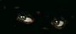 Name:  evil wink.gif
Views: 62
Size:  3.2 KB