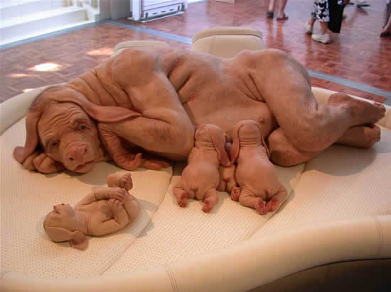 Name: weird_animals.jpg
Views: 380
Size: 21.4 KB