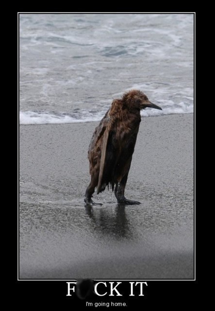 Name:  2.jpg
Views: 451
Size:  55.3 KB