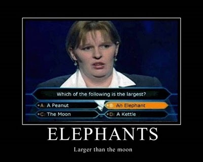 Name:  28.jpg
Views: 556
Size:  21.9 KB
