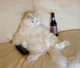 Name:  Cat-DrinkingBeerWatchingtv.gif
Views: 295
Size:  196.3 KB