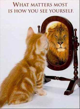 Name:  youseeyourself.jpg
Views: 43
Size:  15.4 KB