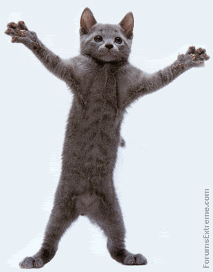 Name:  catdance.gif
Views: 207
Size:  119.6 KB