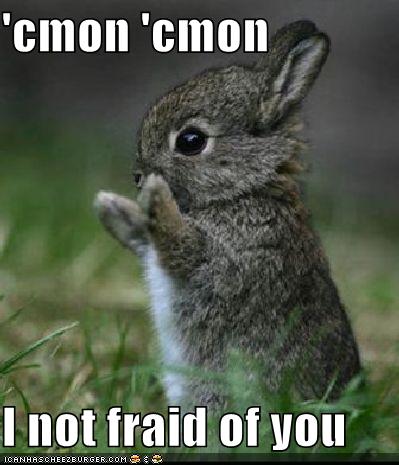 Name:  bunny cute.jpg
Views: 78
Size:  31.8 KB
