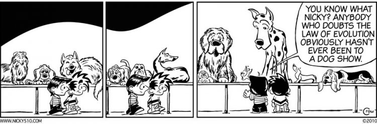 Name:  2010-03-17dogevolution.jpg
Views: 163
Size:  56.2 KB