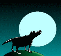 Name:  wolf1.gif
Views: 73
Size:  22.6 KB