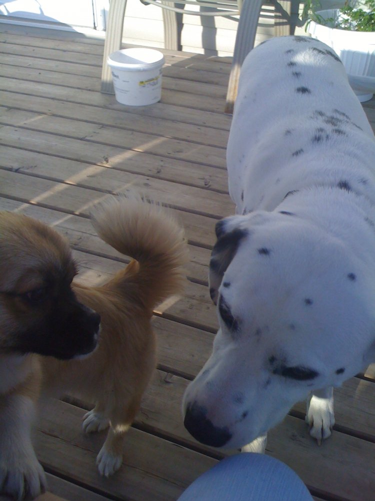 Name: Picture 120.jpg
Views: 238
Size: 93.0 KB