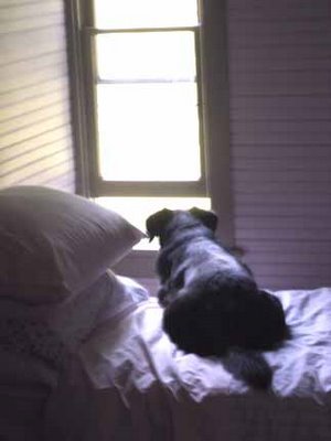 Name:  bed.jpg
Views: 48
Size:  16.1 KB