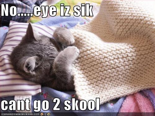 Name:  23.jpg
Views: 55
Size:  43.0 KB
