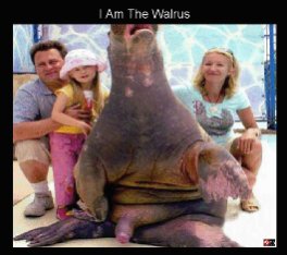 Name:  walrus.jpg
Views: 3314
Size:  16.8 KB