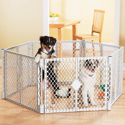 Name:  pPETS-3759480t400.jpg
Views: 237
Size:  45.3 KB