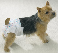 Name:  dog-nappy-L.jpg
Views: 9438
Size:  8.2 KB