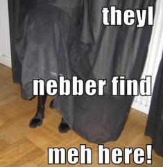 Name:  Labhiding.jpg
Views: 40
Size:  17.6 KB