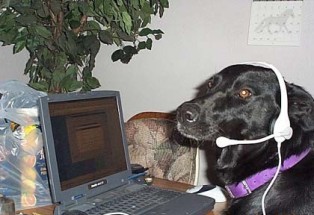 Name:  weblab.jpg
Views: 162
Size:  24.8 KB
