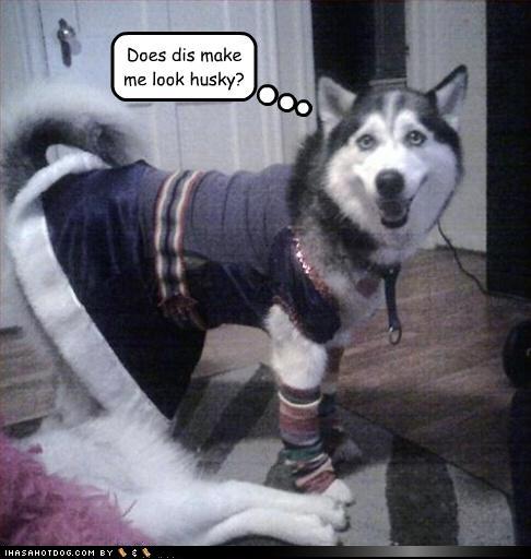 Name:  husky dress.jpg
Views: 413
Size:  64.0 KB