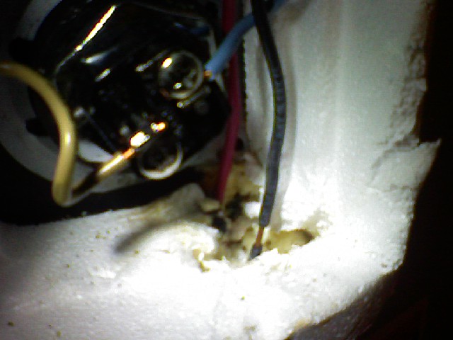 Name:  exposed wire.jpg
Views: 2242
Size:  60.9 KB