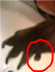 Name:  foot.bmp
Views: 1085
Size:  183.9 KB