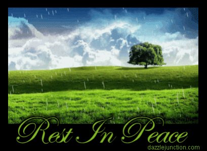 Name:  rip.jpg
Views: 302
Size:  29.2 KB