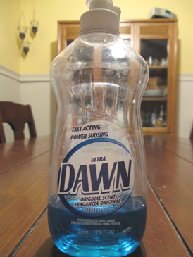 Name:  dawn.jpg
Views: 304
Size:  24.2 KB