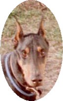 Name:  UntitledMA20394552-0001.jpg
Views: 43
Size:  7.7 KB