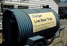 Name:  bear trap.jpg
Views: 29
Size:  9.8 KB