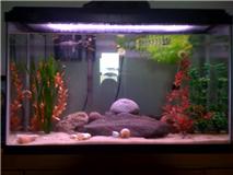 Name:  tank 1.jpg
Views: 145
Size:  7.0 KB