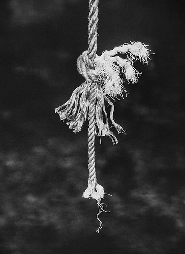 Name:  frayed knot.jpg
Views: 13070
Size:  65.5 KB
