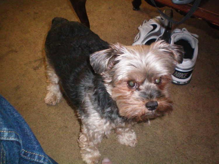 Name:  Muttley 10.jpg
Views: 63
Size:  129.0 KB