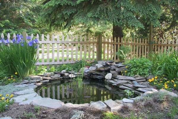 Name:  pond.jpg
Views: 4992
Size:  129.4 KB