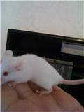 Name:  theresa.jpg
Views: 106
Size:  3.1 KB