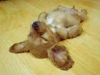 Name:  avatar_4823.jpg
Views: 13553
Size:  7.8 KB