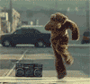 Name:  dancing_bear.gif
Views: 491
Size:  234.1 KB