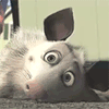 Name:  avatar_1915.gif
Views: 44
Size:  52.5 KB