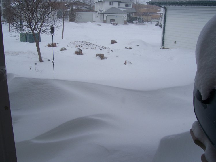 Name:  Yucky snow 001.jpg
Views: 33
Size:  48.2 KB