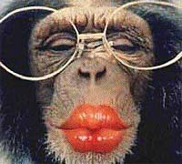 Name:  monkey-kiss.jpg
Views: 25
Size:  9.1 KB