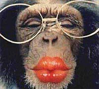 Name:  monkey-kiss.jpg
Views: 21
Size:  9.1 KB