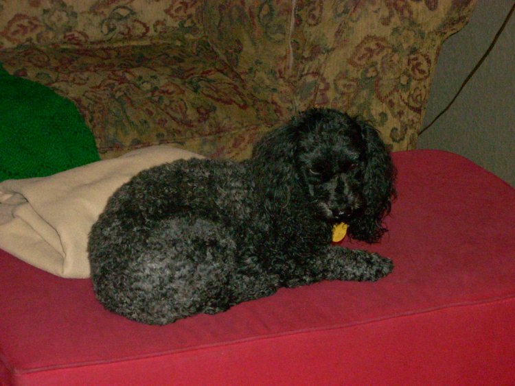 Name:  011.jpg
Views: 55
Size:  81.0 KB