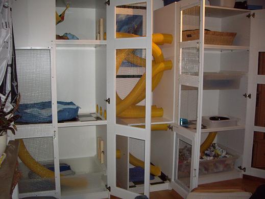 Name:  cage.jpg
Views: 42607
Size:  67.0 KB