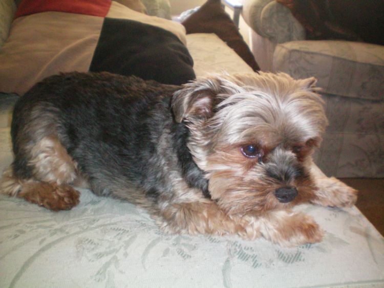 Name:  Muttley 18.jpg
Views: 54
Size:  115.1 KB