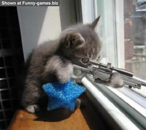 Name:  sniper.jpg
Views: 6242
Size:  25.5 KB