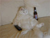 Name:  The whole enchilada 100.gif
Views: 262
Size:  32.1 KB